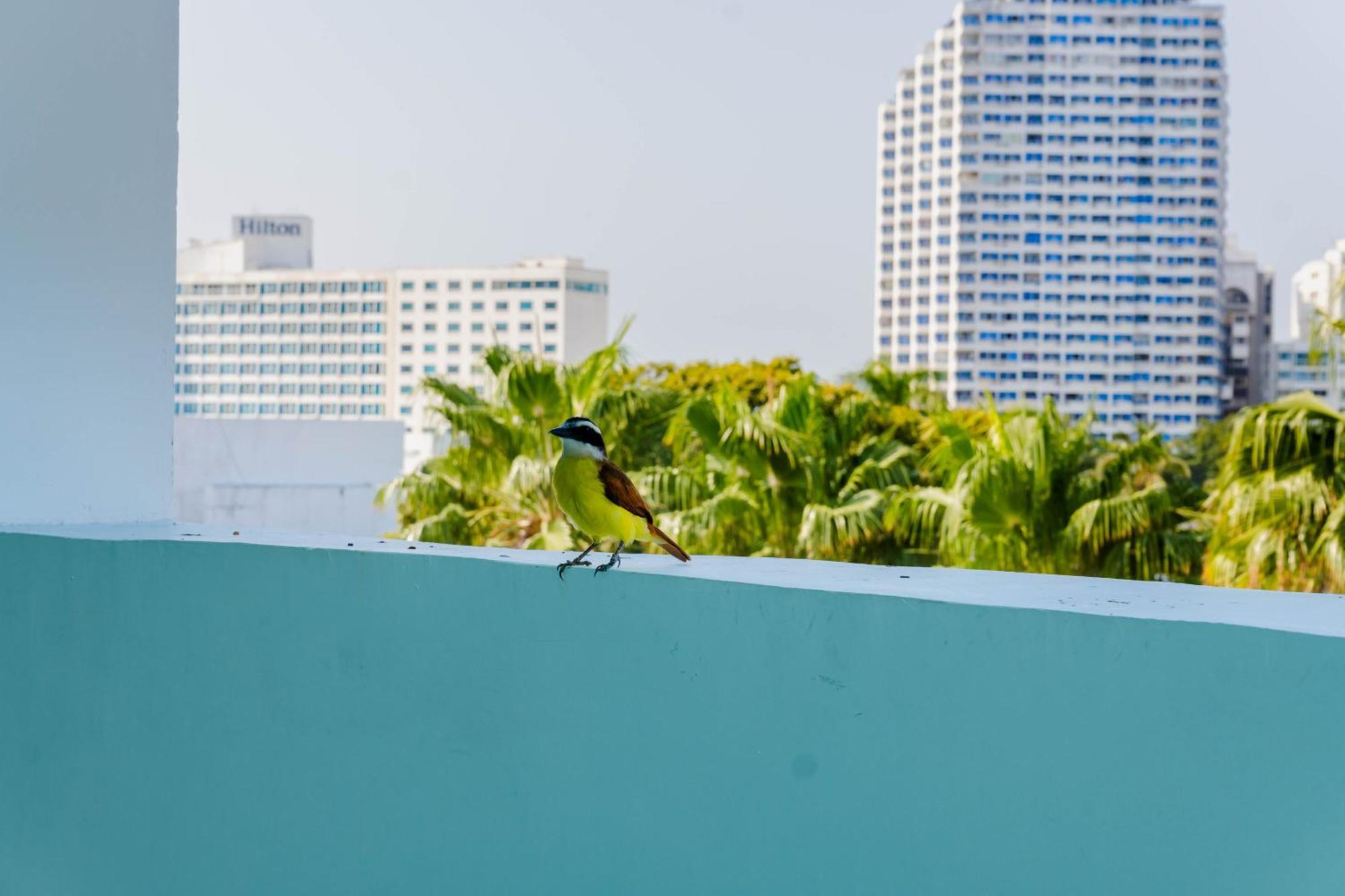 Hotel Coral Reef Cartagena المظهر الخارجي الصورة